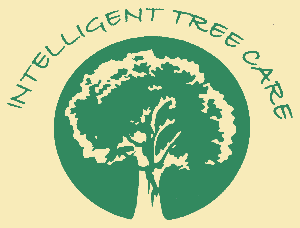 Intelligent Tree Care